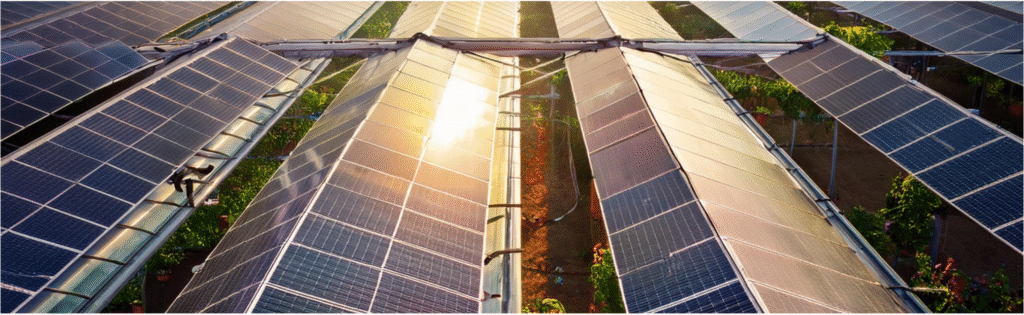 Serre photovoltaïque post thumbnail icon